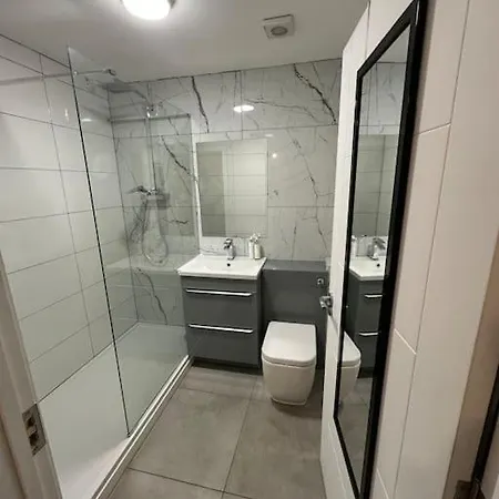 Brand New Luxuries Near The Center Apartment